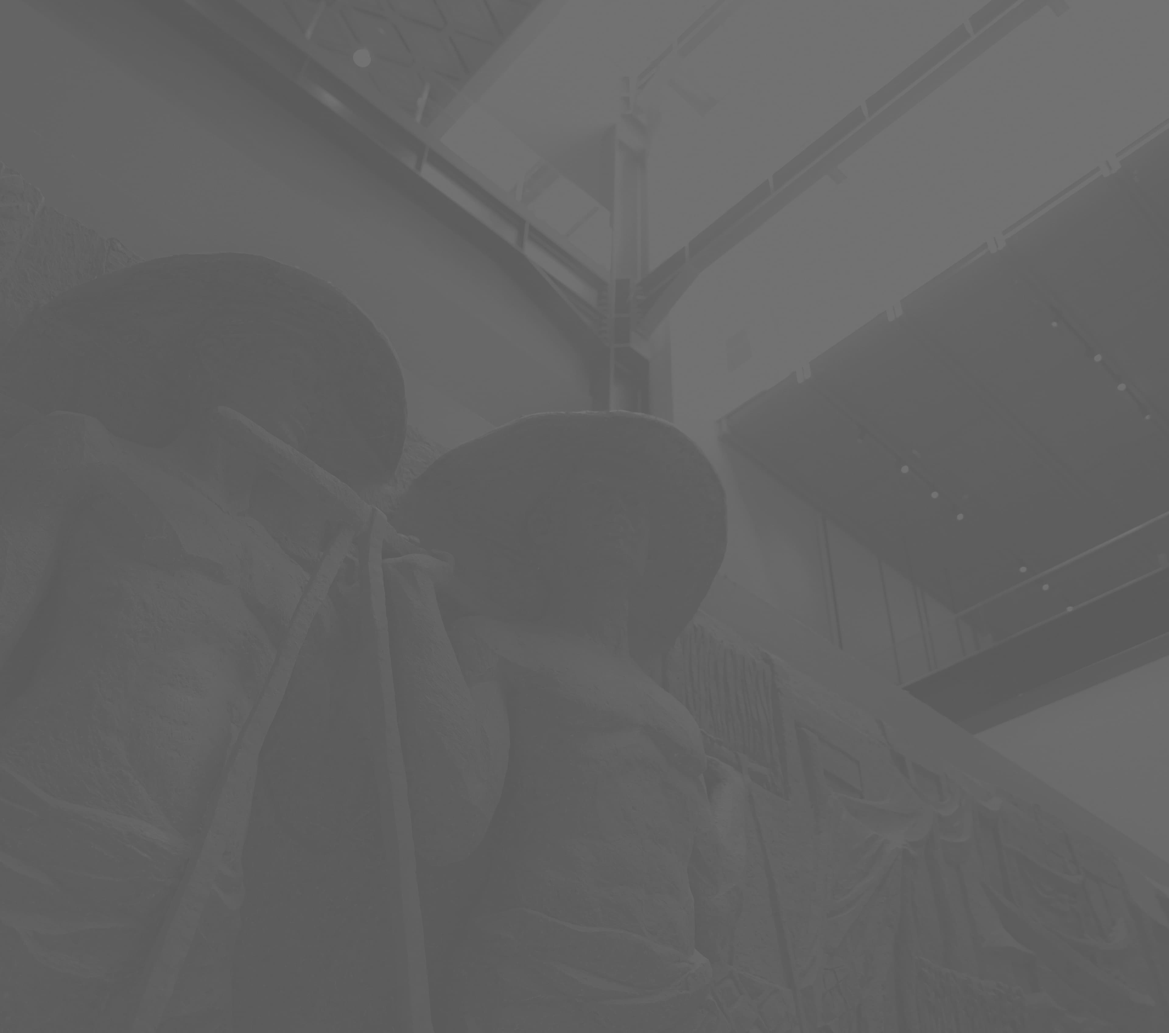 Commissioner Background